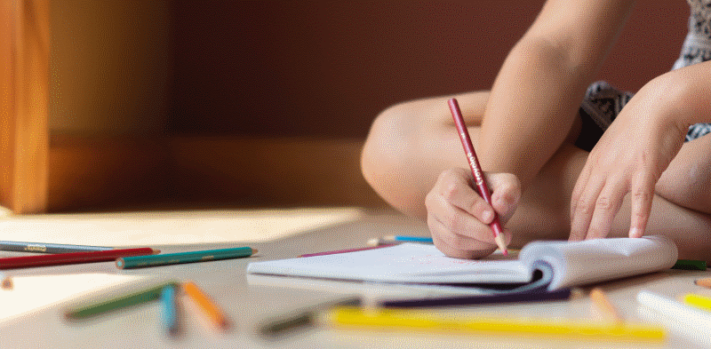 Qualificação do sistema nacional de intervenção precoce na infância (SNIPI)